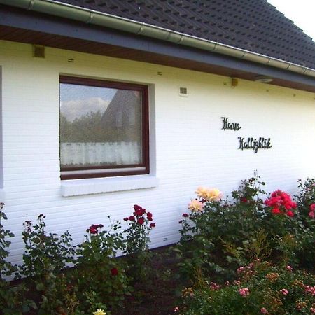 Hooge In The Haus Halligblick Dagebüll المظهر الخارجي الصورة